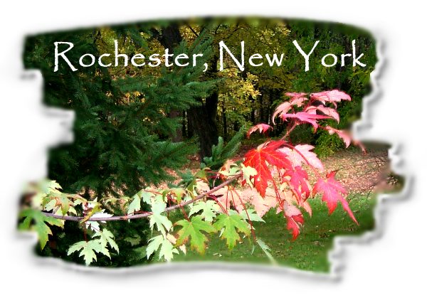 Snapshot from backyard of Sam C. Chan in Clarkson, New York, in early Fall 2002